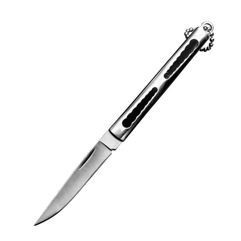 EDC02 zsebkés, kempingezés és túrázás, Rozsdamentes acél 420B, Gyanta fogantyú, 14 cm [1]
