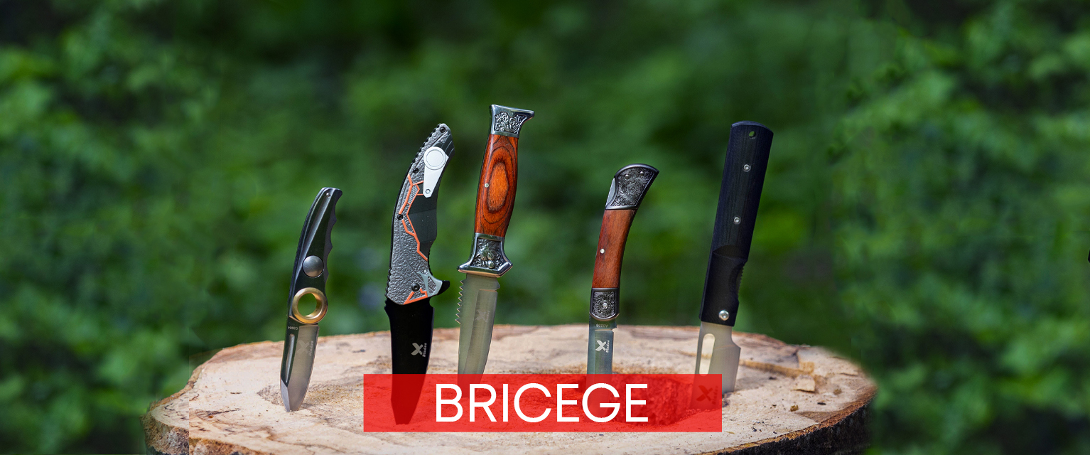 homepage bricege