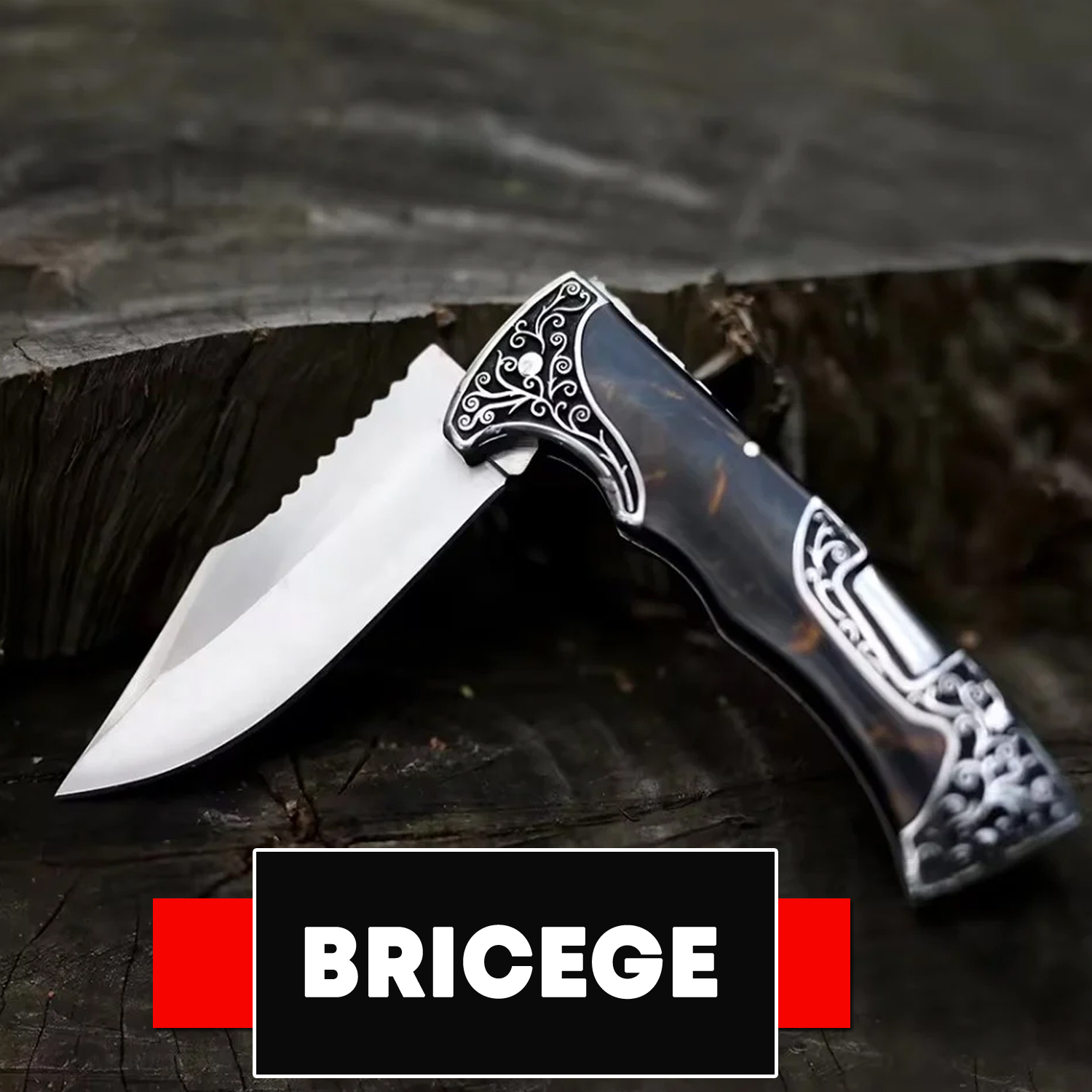 Bricege