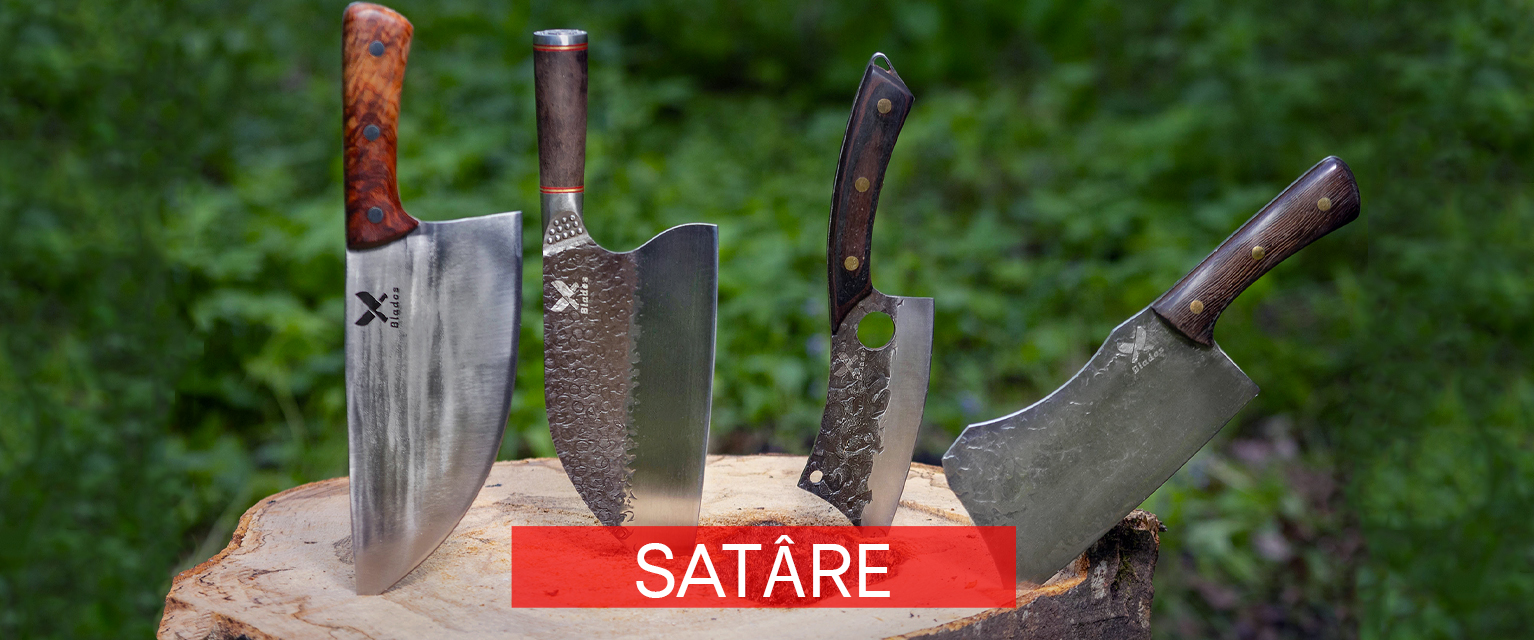 homepage satare