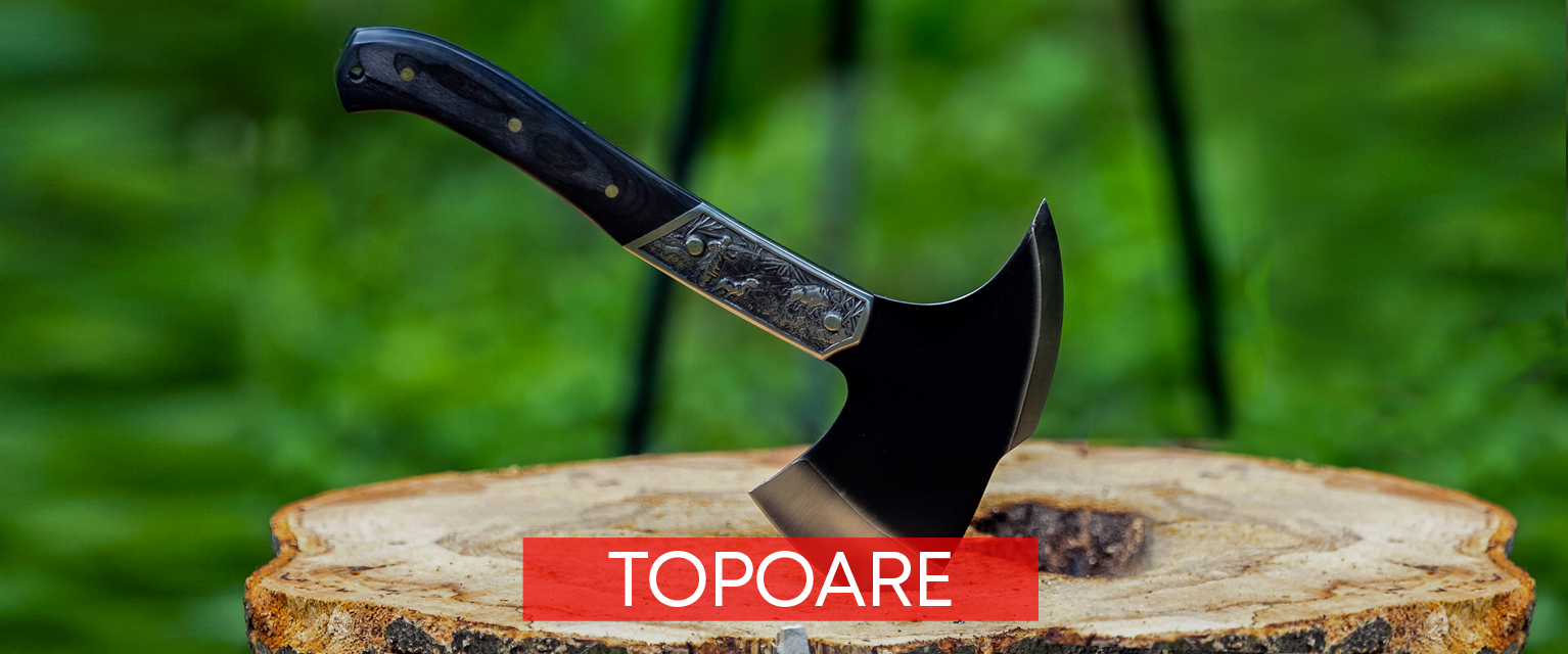 Homepage Topoare