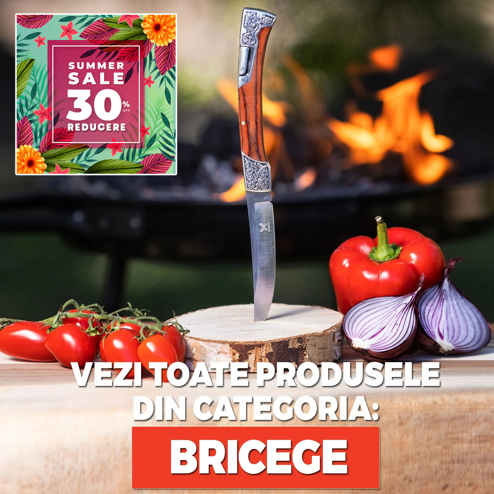 Bricege