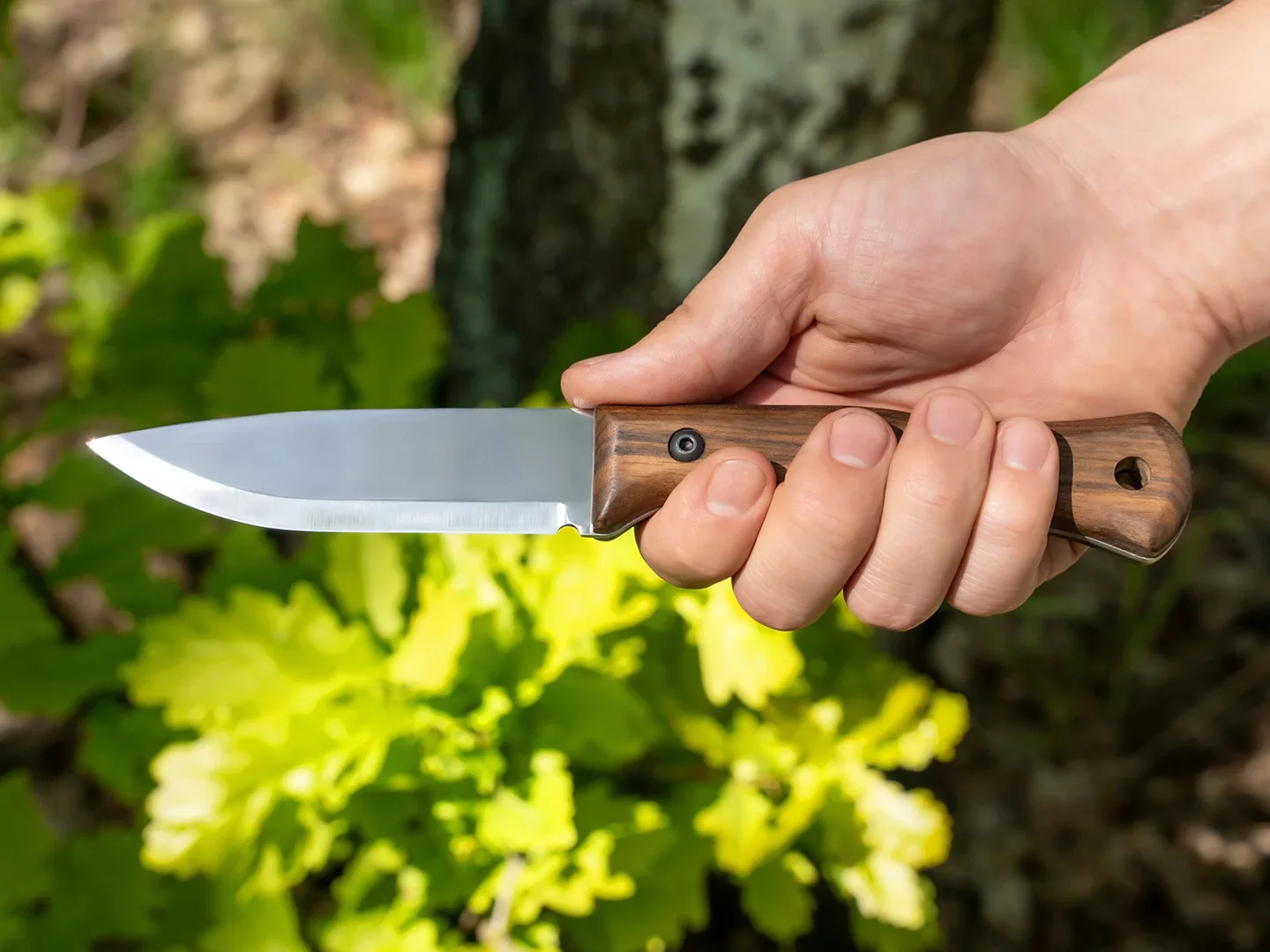 BSH6 Breeze – Cutit Bushcraft, Otel Carbon, Maner Nuc, Teaca Piele, 23.5 cm BSH6 Breeze – Cutit Bushcraft, Otel Carbon, Maner Nuc, Teaca Piele, 23.5 cm
