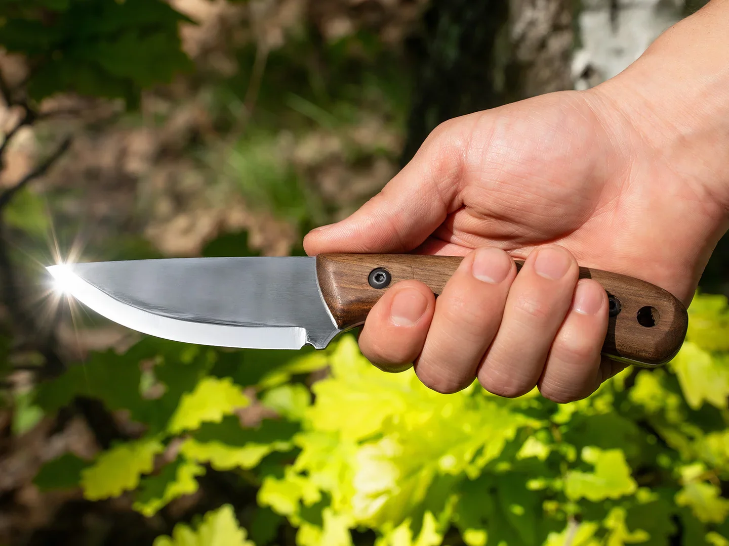 BSH7 Wild Harvest – Cutit Bushcraft, Otel Carbon, Maner Nuc, Teaca Piele, 21.5 cm [3]