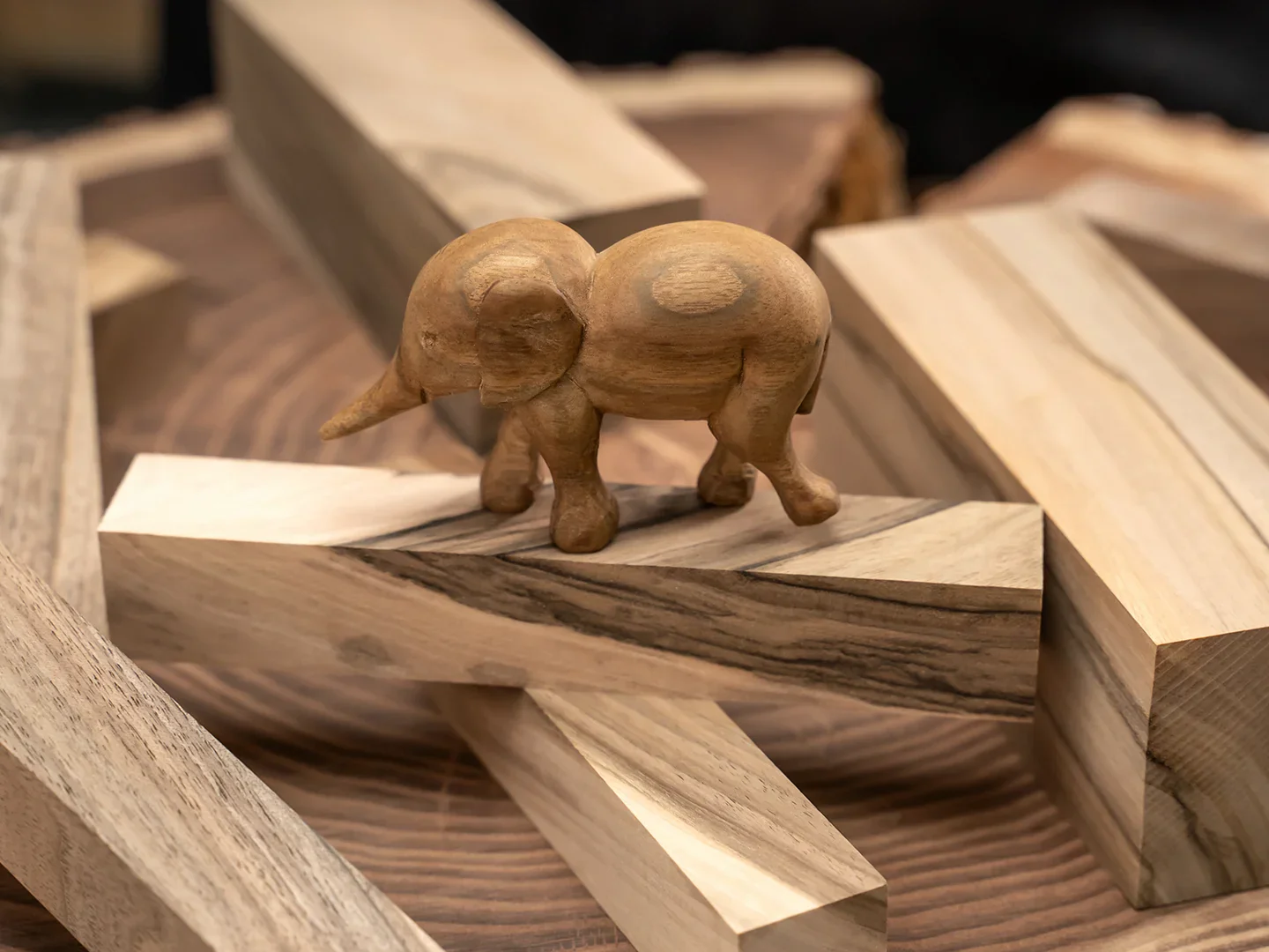 BW10 Walnut - Set 10 Blocuri din Lemn de Nuc pt Sculptat [5]