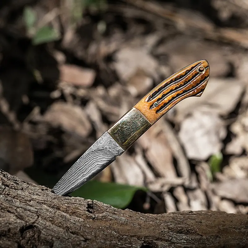 Cutit Blaze, Camping & Drumetie, Otel Damasc, Maner Corn, 14 cm [7]