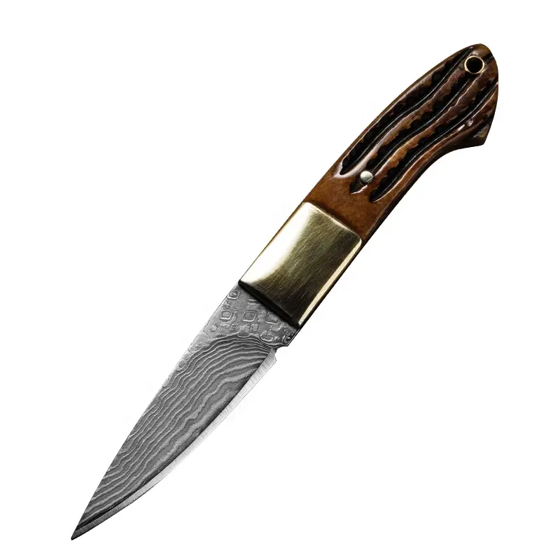 Cutit Blaze, Camping & Drumetie, Otel Damasc, Maner Corn, 14 cm [2]