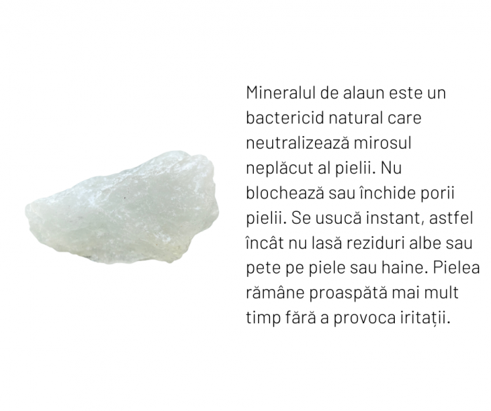 Deodorant de picioare pudra Piatra de Alaun Labnatur Bio 100gr [4]