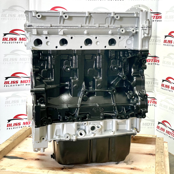 Motor 2.4 Ford Transit Euro4 H9FD JXFC JXFA PHFA PHFC H9FB [4]