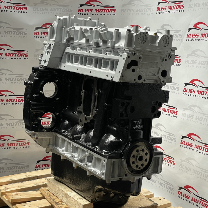 Motor 3.0 Iveco Daily euro4 F1CE0481 [5]