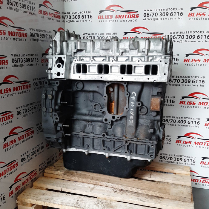 Motor 3.0 Iveco Massif euro4 F1CE0481 [1]