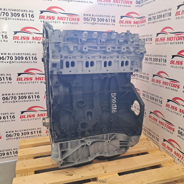 Motor 2.3 dCi RENAULT MASTER III FWD / RWD M9T euro5 [1]