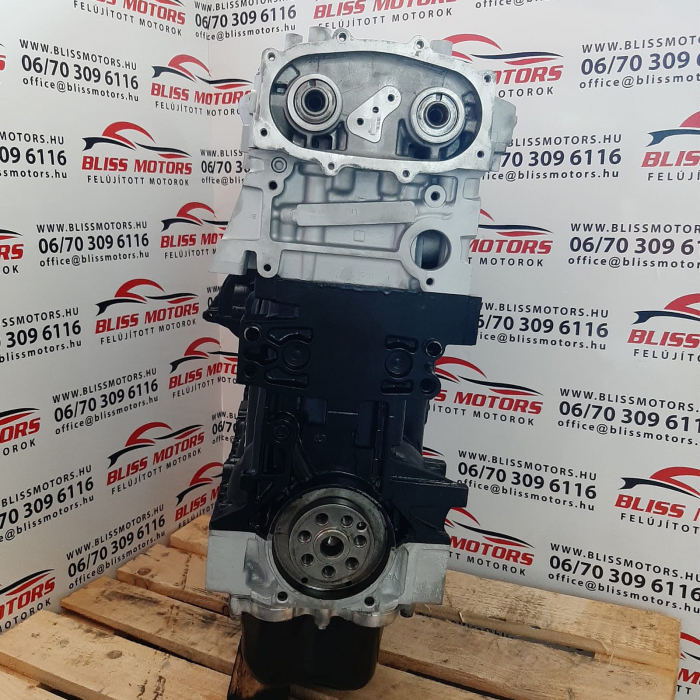 Motor 2.3 Iveco Daily E5 F1AE3481 [5]