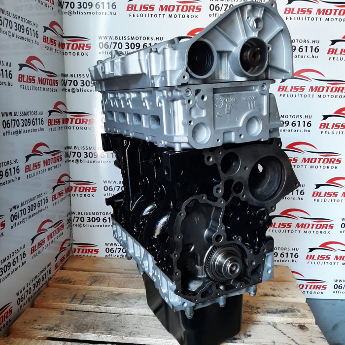 Motor 2.3 Iveco Daily E5 F1AE3481 [2]