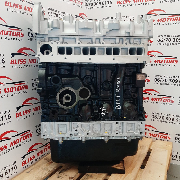Motor 2.3 Iveco Daily E5 F1AE3481 [1]