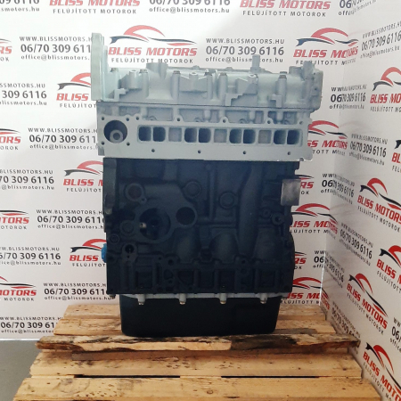 Motor 2.3 Iveco Daily E4 F1AE0481 [1]