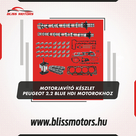 Motorkomponensek - Peugeot 2.2 BlueHDi motorjavító készlet – főtengely + csapágykészlet (9828725580)