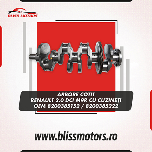 Arbore cotit Renault 2.0 dCi M9R OEM [2]