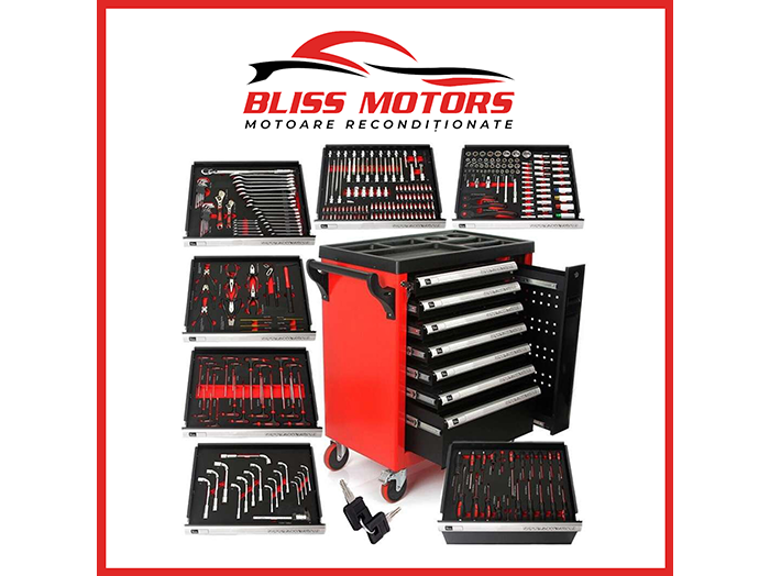 carucior scule RT298A 7 sertare 298 piese red line profesional [1]