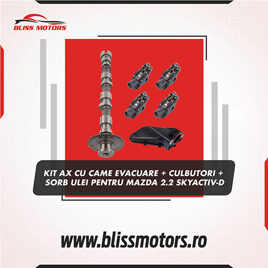 Kit ax cu came evacuare Mazda 2.2 Skyactiv-D SH01-12-440B [2]