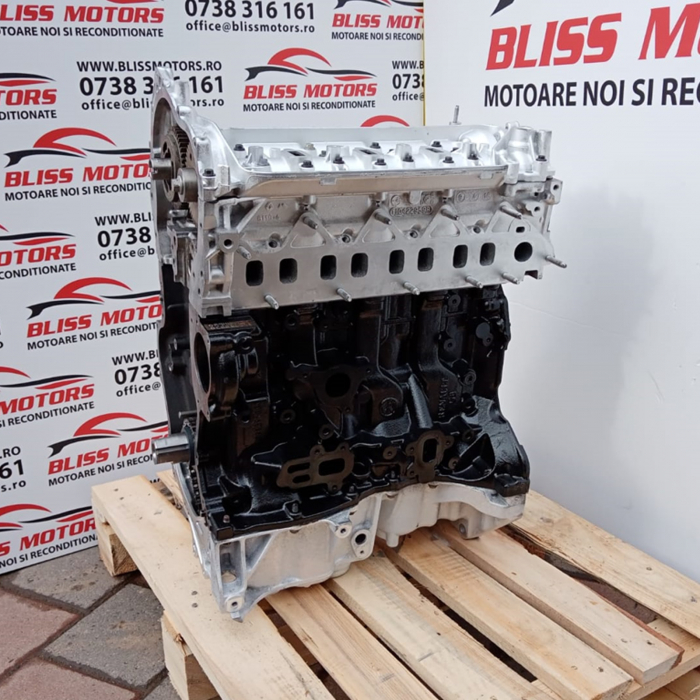 Motor 1.6 R9M [1]