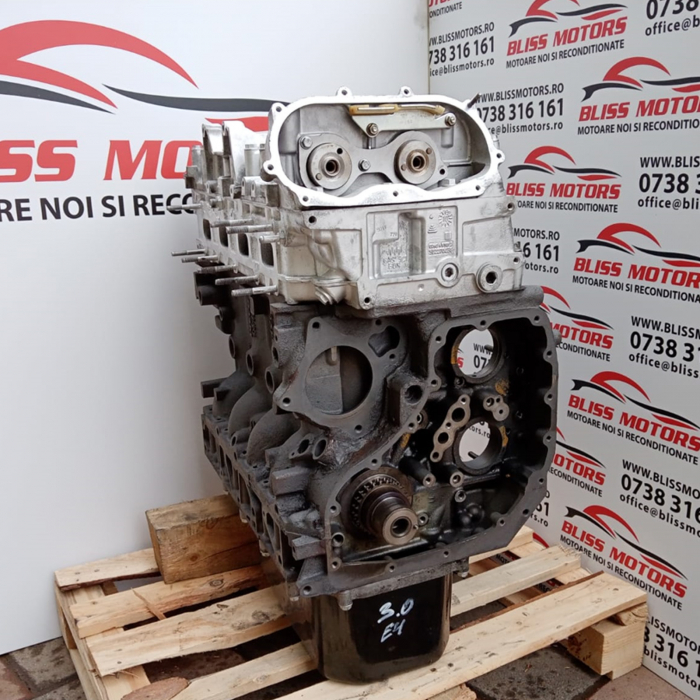Motor 3.0 Iveco Daily euro4 F1CE0481 [4]