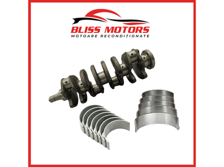 Kituri de reparații - Arbore cotit Renault 2.0 dCi M9R OEM