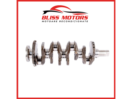 Kituri de reparații - Arbore cotit Renault 2.0 dCi M9R OEM