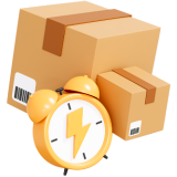 Livrare rapida in 24/48
