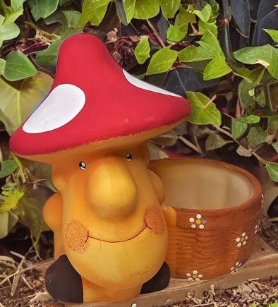 Ciuperca mare cu ghiveci [0]