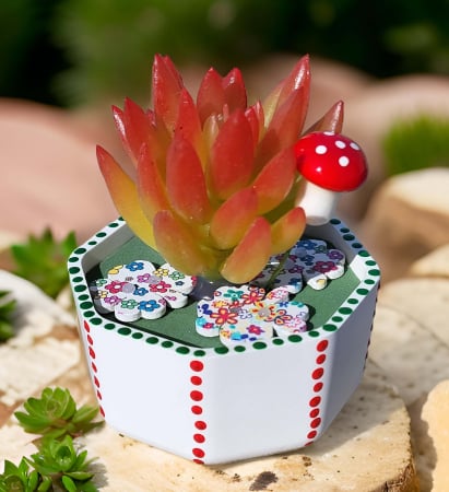 Decoratiuni din ceramica si sticla - Minighiveci cu Suculentă Artificială