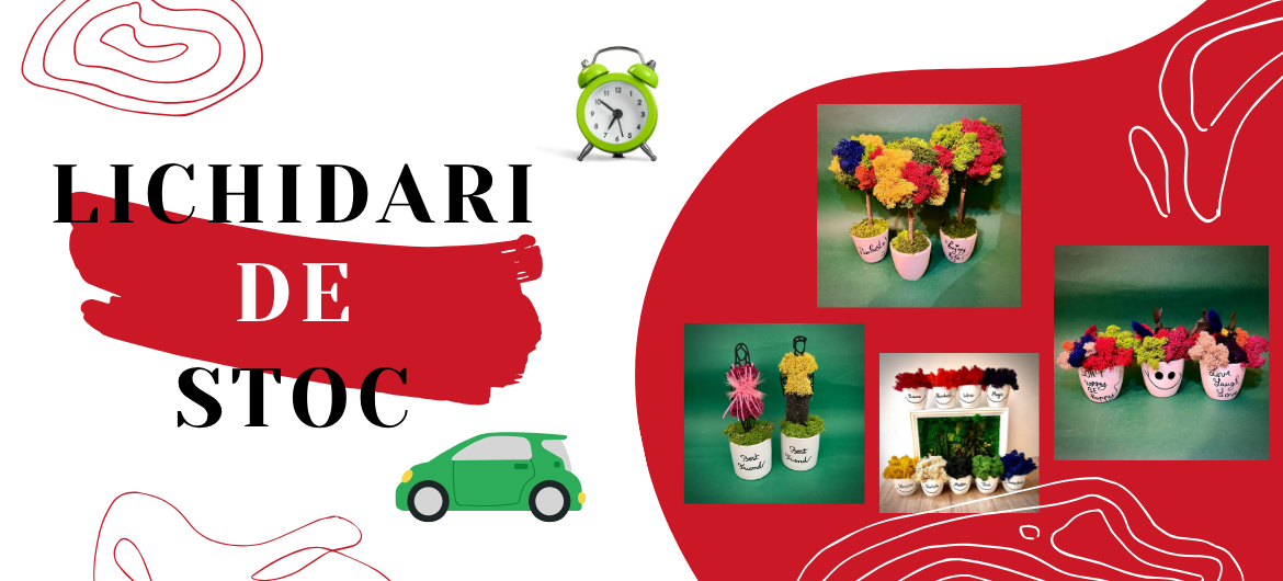 LICHIDARI DE STOC