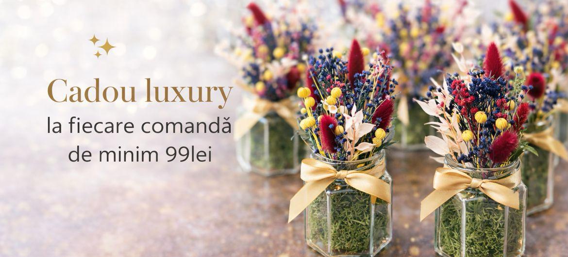 Cadou la minim 99lei