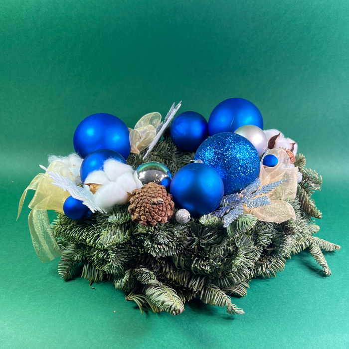 Coronita albastra [4]