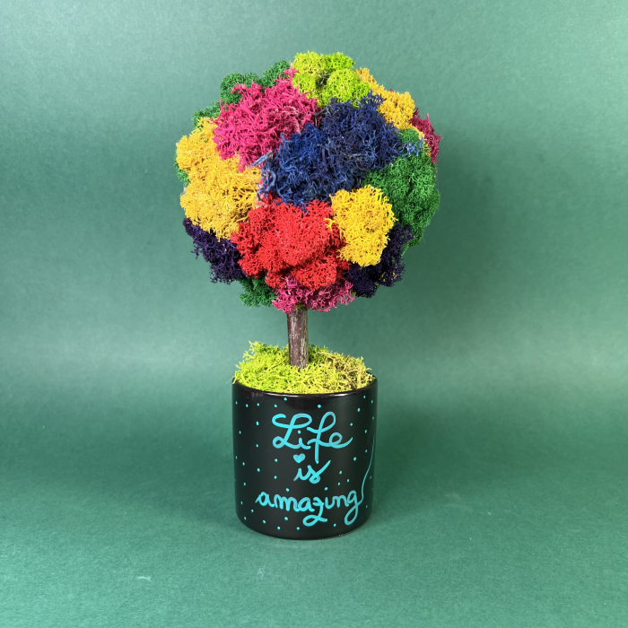 Copacel Amazing life 25x13cm [2]