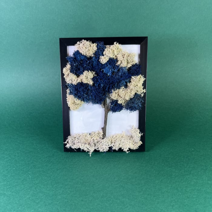 Set tablouri Anotimpurile 13x18cm [5]