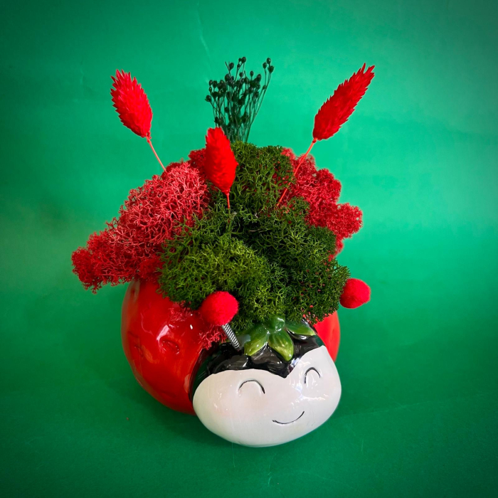 Aranjament Capsunica simpatica 17cm [2]