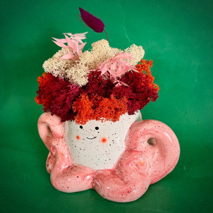 Aranjament Caracatița cu Moț 17cm [2]