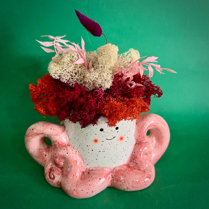 Aranjament Caracatița cu Moț 17cm [3]