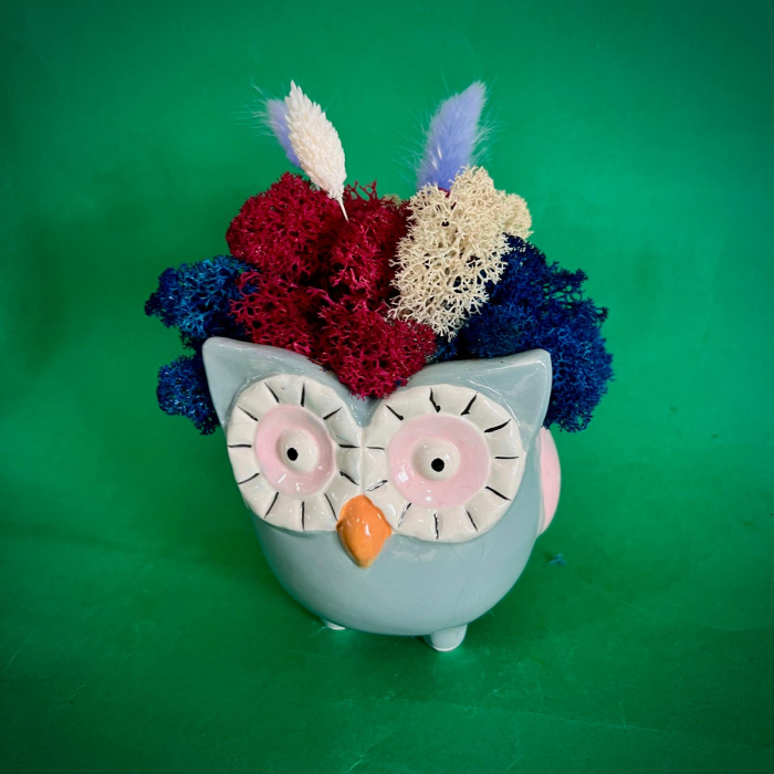 Aranjament BufniCici 19cm [2]