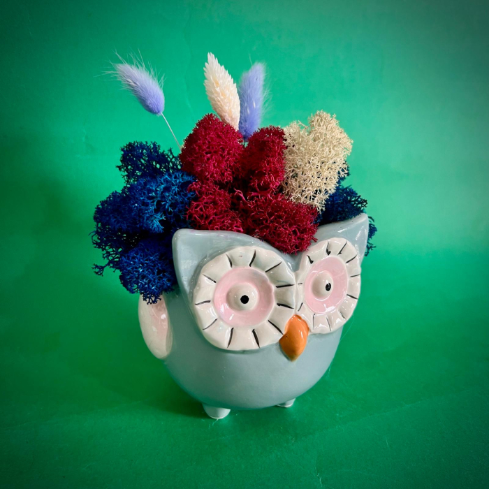 Aranjament BufniCici 19cm [3]