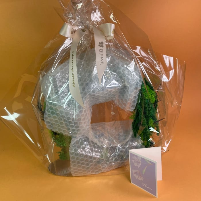 Aranjament Gradina Energize 27X25X9cm [4]