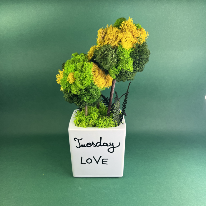 Aranjament Monday-Thursday 26x11cm [2]