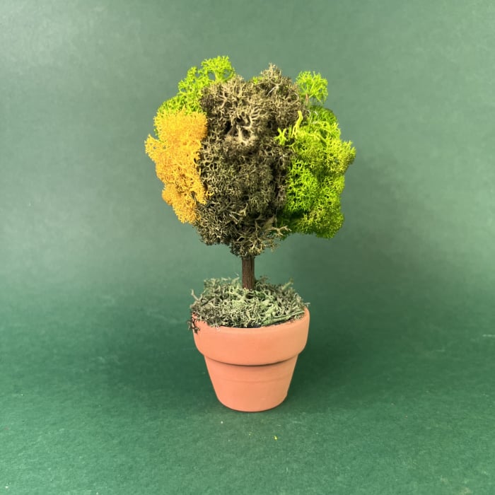 Mini copacel 13x6cm [2]