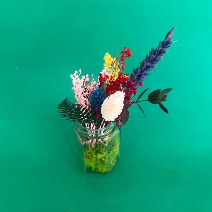 Borcanel inflorit 17cm [6]