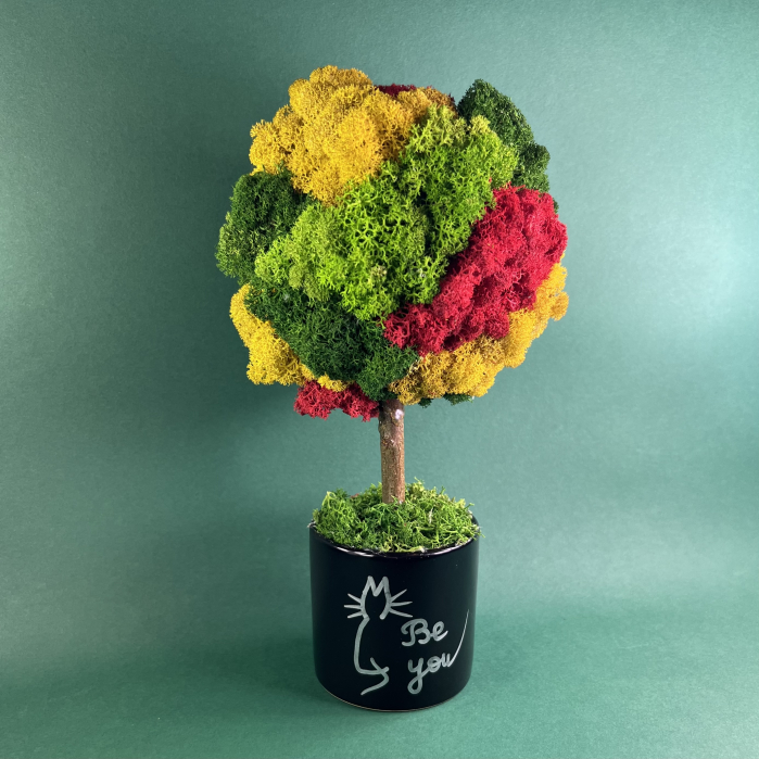 Copacel Colorful cat- be you! 25x13cm [2]