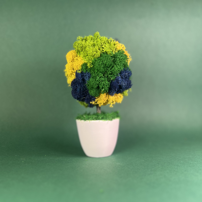 Copacelul Dor 21x10cm [3]