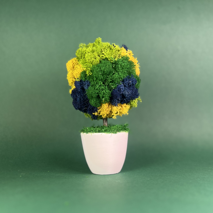 Copacelul Dor 21x10cm [2]