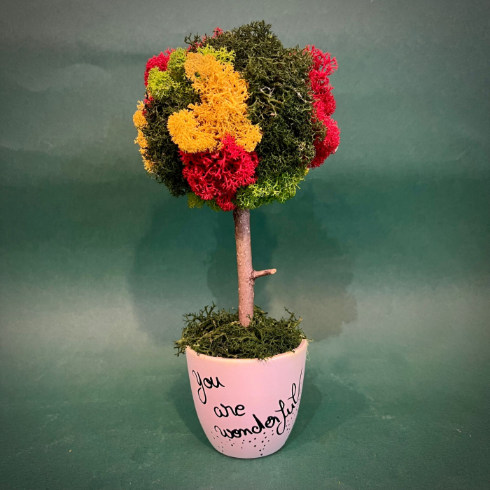 Copacelul You are wonderful(mic) 21x8cm [1]