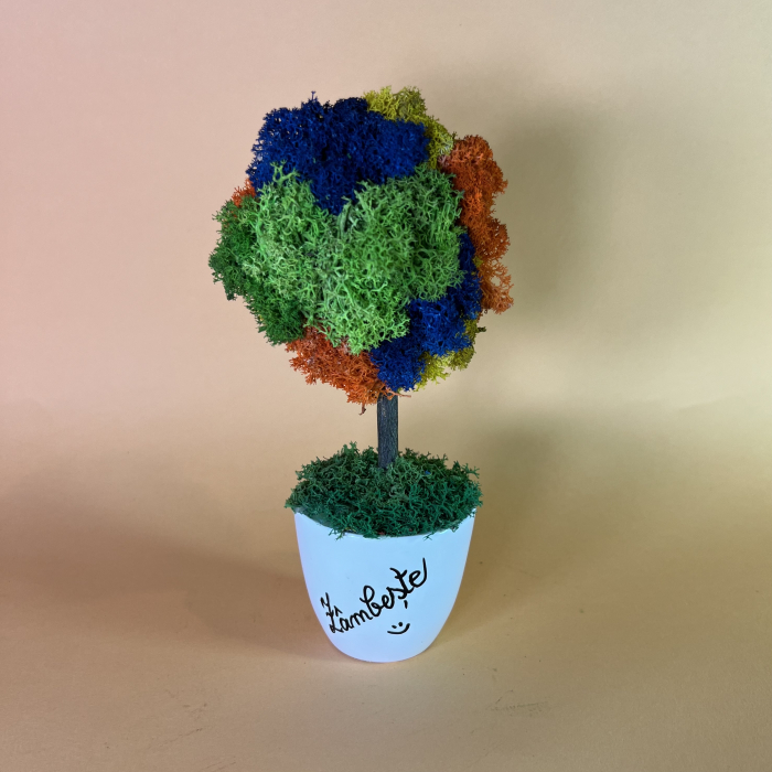 Copacelul Zambeste 21x8cm [2]